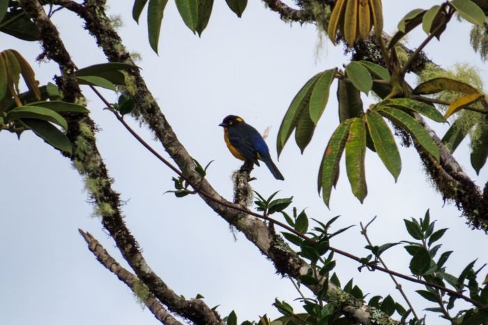 Nariño la Puerta del Amazonas – Plan 6 Días 5 Noches